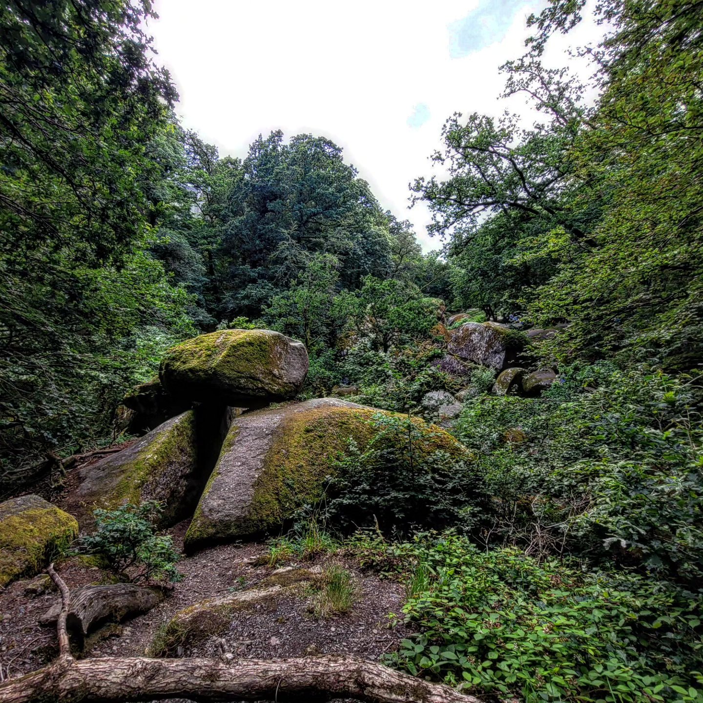 Huelgoat (été 2024)