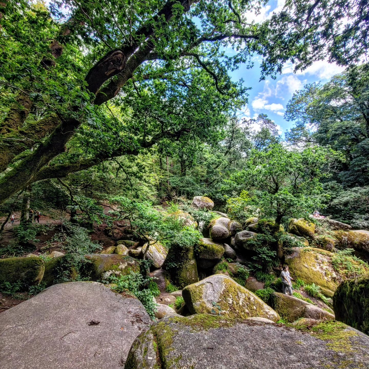 Huelgoat (été 2024)