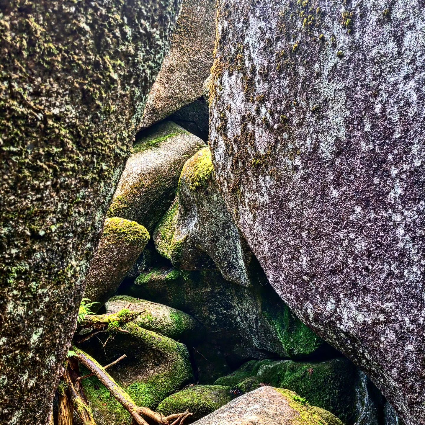 Huelgoat (été 2024)