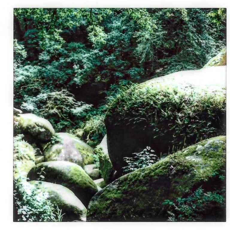 Huelgoat (été 2024) /  Lomo Instant Square