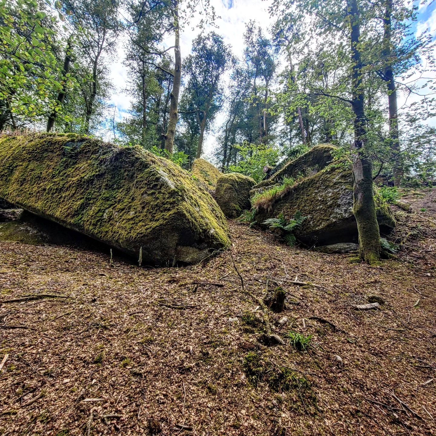 Huelgoat (été 2024)